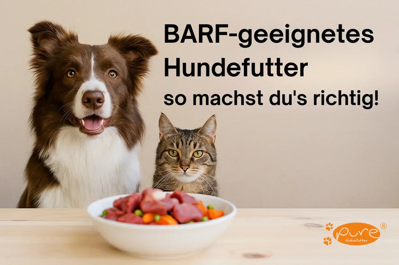 Glücklicher Hund und Katze vor BARF-geeignetem Hundefutter von Pure Naturfutter in der Schweiz