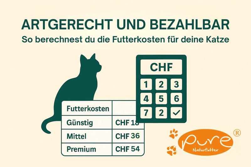 Infografik zur Berechnung der Katzenfutterkosten in der Schweiz mit CHF-Rechner und Preisvergleich zwischen günstigem, mittlerem und Premium-Futter von Pure Naturfutter.