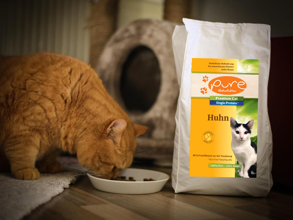 Futterumstellung bei Katzen, Katzen Naturfutter, gesunde Katzenernährung, Katzenfutter Umstellung