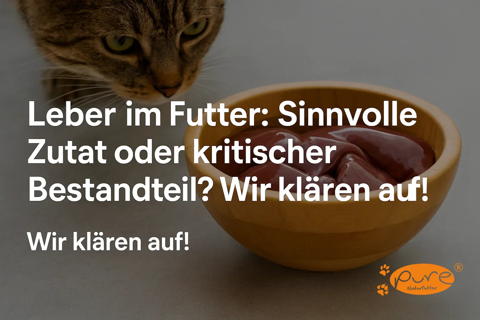 Leber im Futter: Sinnvolle Zutat oder kritischer Bestandteil? Wir klären auf!