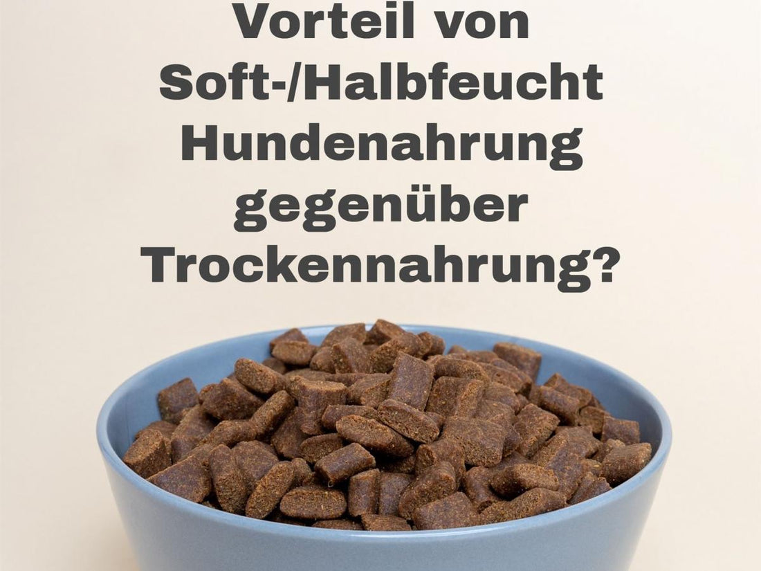 Halbfeuchtnahrung für Hunde, Feuchtnahrung Hund, Trockennahrung für Hunde, Hund Futtervergleich