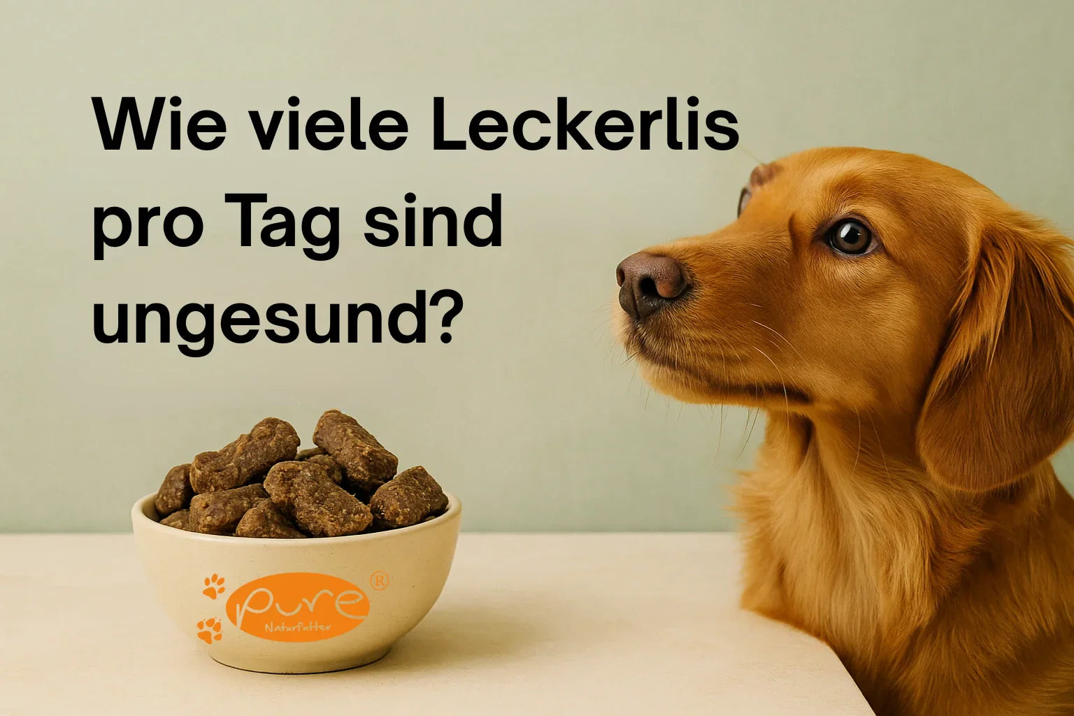 Wie viele Leckerlis pro Tag sind ungesund? So fütterst du richtig!