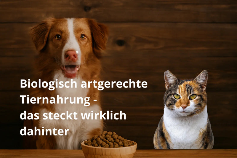 Biologisch artgerechte Tiernahrung – das steckt wirklich dahinter
