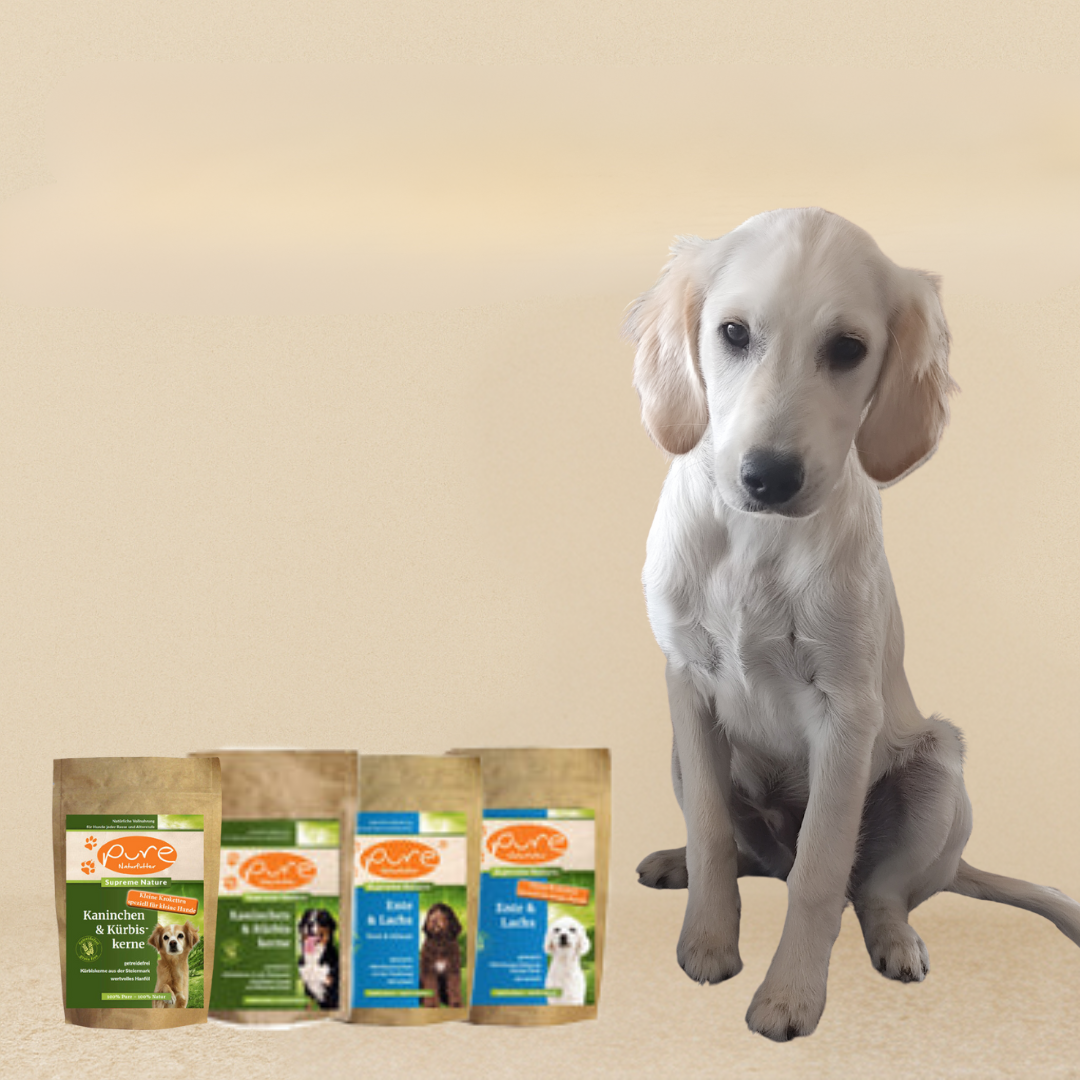 Trockenfutter-Probierpackungen mit 100% natürlichen Zutaten für eine gesunde Hundeernährung