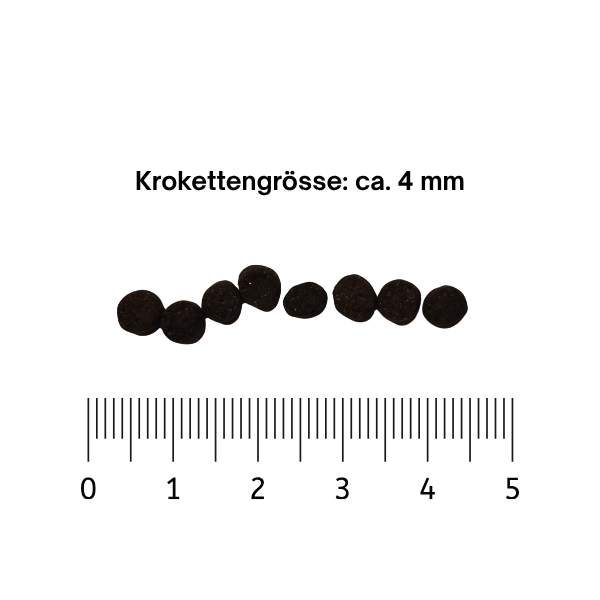 Abbildung der Krokettengrösse ca. 4 mm des Trockenfutter Kitten für Katzen