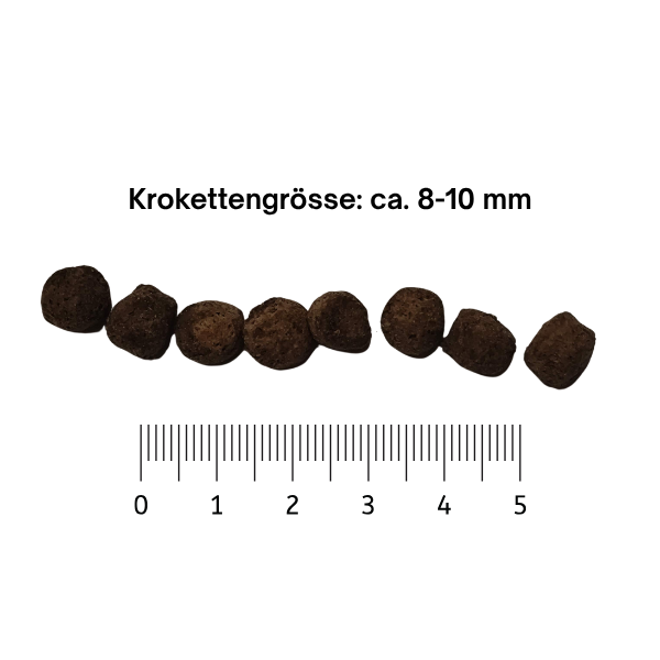 Abbildung der Krokettengrösse ca. 8-10 mm des Trockenfutter Kaninchen & Kürbiskerne für Hunde