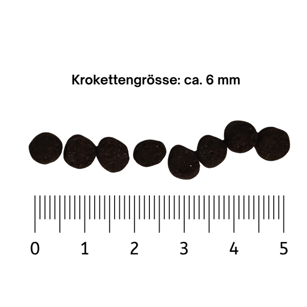 Abbildung der Krokettengrösse ca. 6 mm des Trockenfutter Puppy/Welpen für Hunde