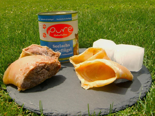 Hundesnack für heiße Tage, Eiskuchen für Hunde, Abkühlung für Hunde