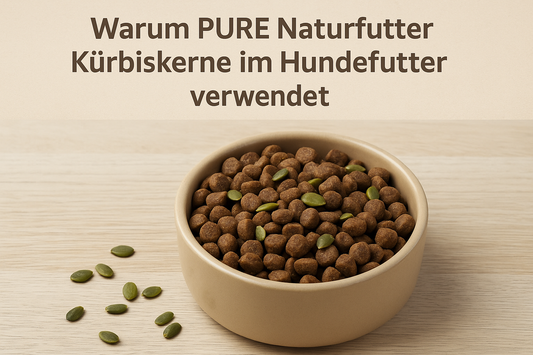 Warum PURE Naturfutter Kürbiskerne im Hundefutter verwendet – natürliche Power für deinen Hund
