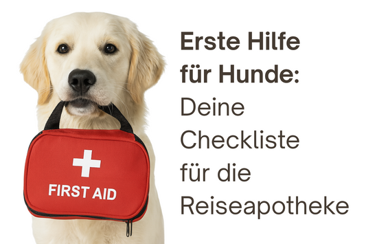 Hund mit Erste-Hilfe-Tasche im Maul – PURE Naturfutter zeigt, wie du deinen Vierbeiner auf Reisen optimal absicherst