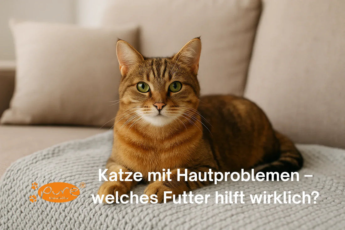 Zufriedene Katze mit gesundem Fell nach Futterumstellung – Premium Katzenfutter Schweiz von PURE Naturfutter für sensible Haut und Allergien.