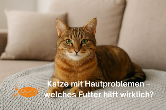 Zufriedene Katze mit gesundem Fell nach Futterumstellung – Premium Katzenfutter Schweiz von PURE Naturfutter für sensible Haut und Allergien.