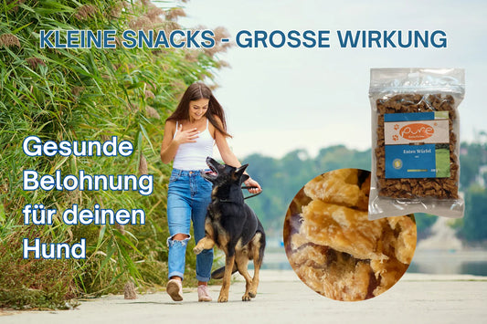 Frau trainiert Hund am Ufer, daneben PURE Enten Würfel Soft – gesunde, natürliche Mini Training Snacks für Hunde.
