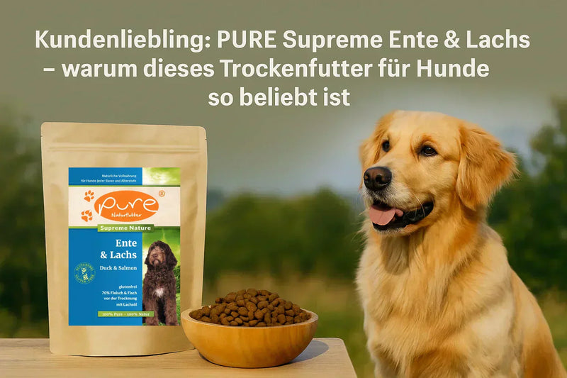 Golden Retriever sitzt neben einer Packung PURE Supreme Ente & Lachs Trockenfutter und einem Napf mit Kroketten – glutenfreies Hundefutter.