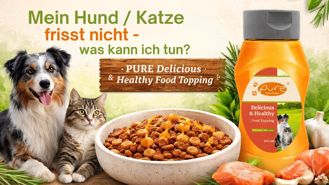 PURE Delicious & Healthy Food Topping für Hunde und Katzen mit Lachsöl und Schafsfett als Öl-Topping über Trockenfutter