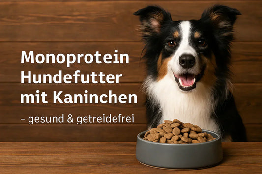 Fröhlicher Hund vor Napf mit getreidefreiem Monoprotein Hundefutter mit Kaninchen – natürliche Ernährung für sensible Hunde