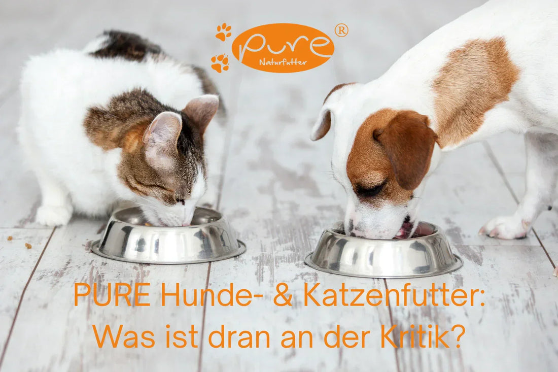 Hund und Katze fressen PURE Naturfutter – gesund und artgerecht