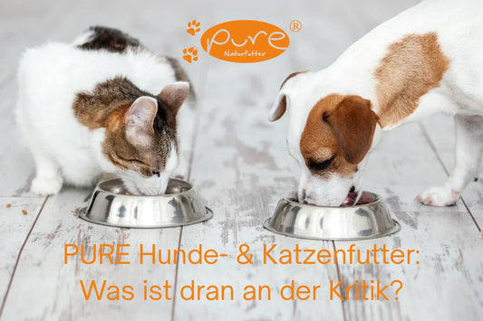 Hund und Katze fressen PURE Naturfutter – gesund und artgerecht