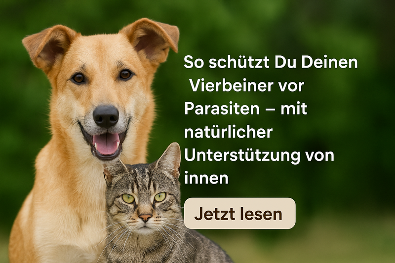 Lächelnder Hund und wachsame Katze vor grünem Hintergrund – mit Text zur natürlichen Parasitenabwehr und „Jetzt lesen“-Button als Blog-Aufruf.