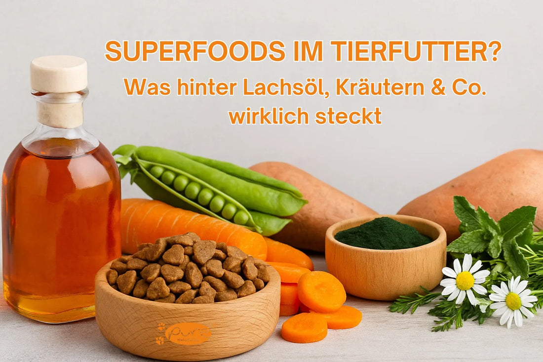 Superfoods im Tierfutter – Lachsöl, Kräuter, Spirulina, Karotten und Erbsen als natürliche Zutaten in PURE Naturfutter Hundefutter und Katzenfutter.