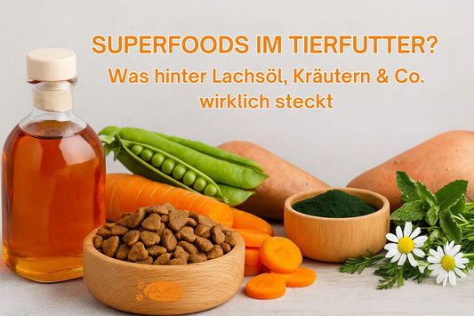 Superfoods im Tierfutter – Lachsöl, Kräuter, Spirulina, Karotten und Erbsen als natürliche Zutaten in PURE Naturfutter Hundefutter und Katzenfutter.