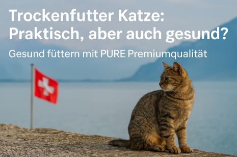 Getigerte Katze sitzt am Ufer eines Schweizer Sees mit Schweizer Flagge im Hintergrund – Titelbild zum Thema Trockenfutter Katze.