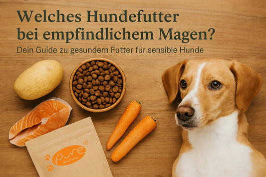 Hund mit natürlichem Hundefutter und frischen Zutaten wie Lachs, Kartoffeln und Karotten – Titel „Welches Hundefutter bei empfindlichem Magen?“ für Blog über sensible Hundeernährung.