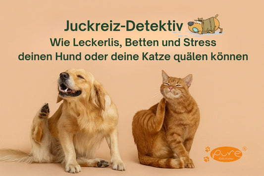 Golden Retriever und rote Katze kratzen sich – Symbolbild für Juckreiz bei Hund und Katze durch Futter, Stress oder Milben. Blogartikel Pure Naturfutter über natürliche Lösungen bei Hautproblemen.