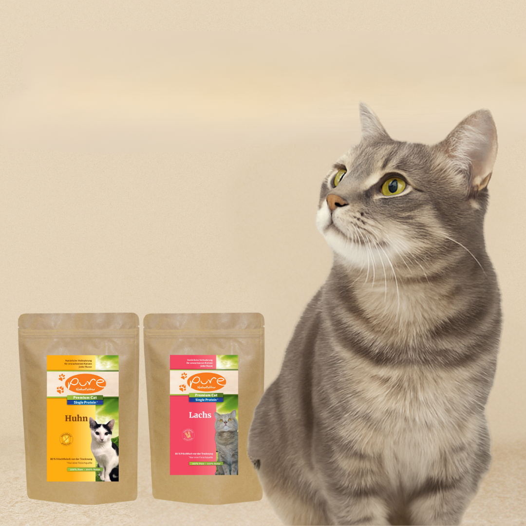 Probierpakete Katzenfutter