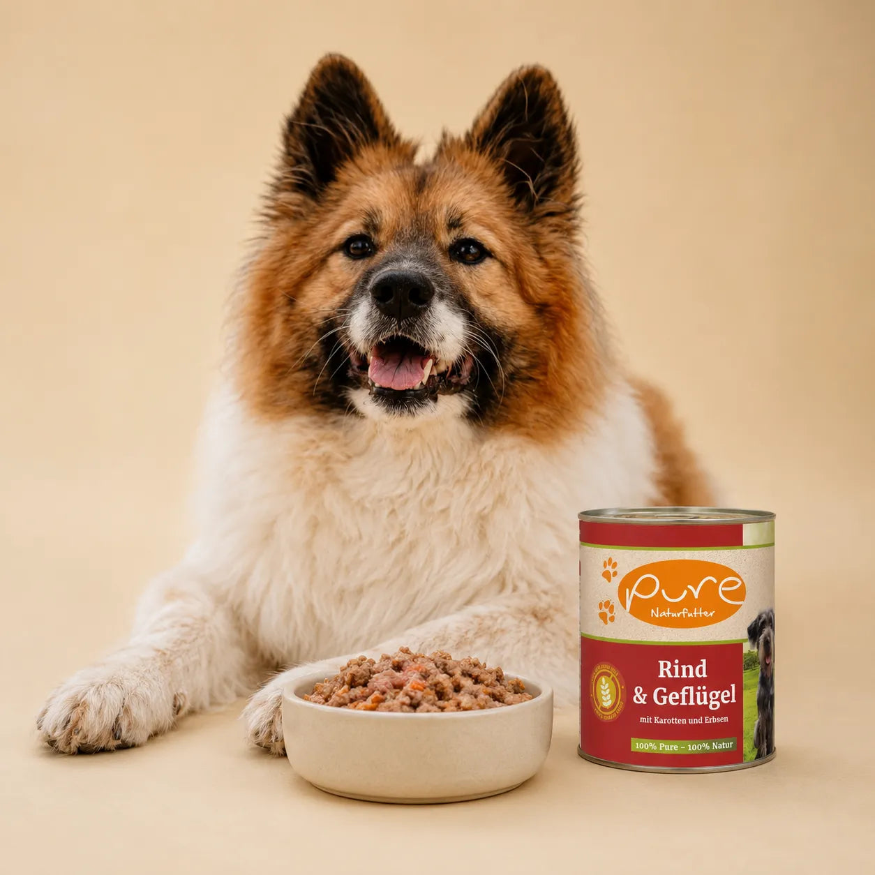 Nassfutter für Hunde von PURE Naturfutter, Hund mit Dose Rind & Geflügel und Futterschale