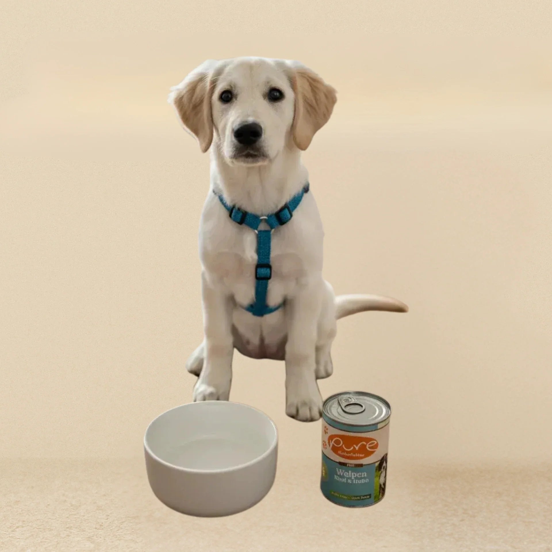 Nassfutter Hund Welpen