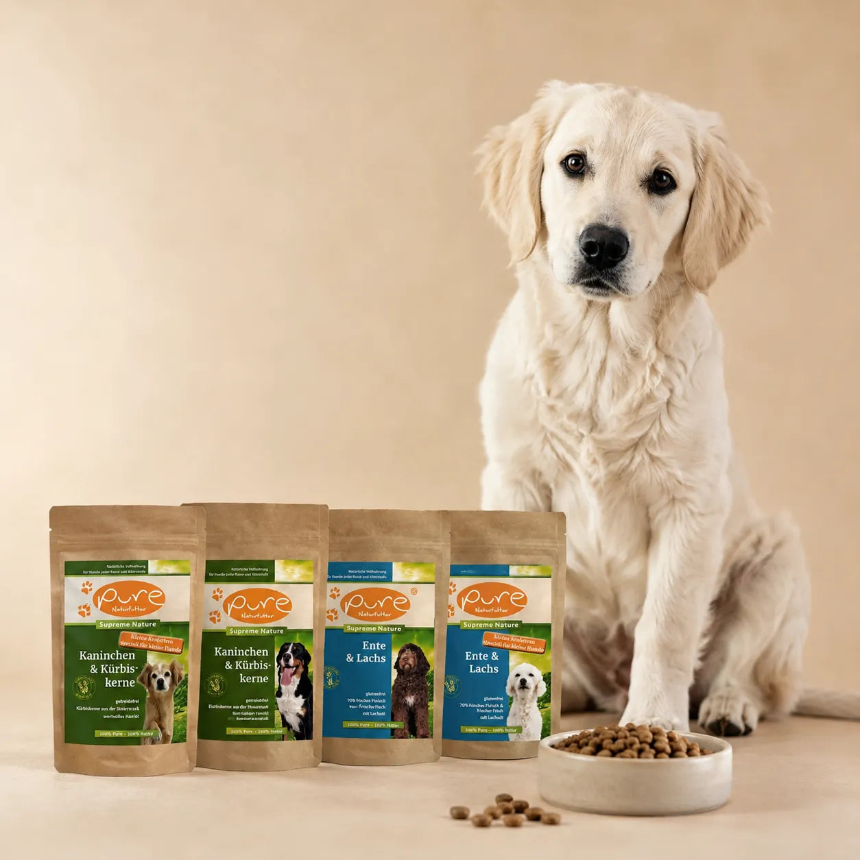 Hund mit Probierpaket von PURE Naturfutter für Hunde