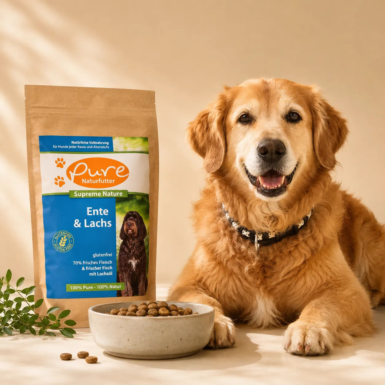 Hund mit Trockenfutter von PURE Naturfutter und Napf mit Kroketten