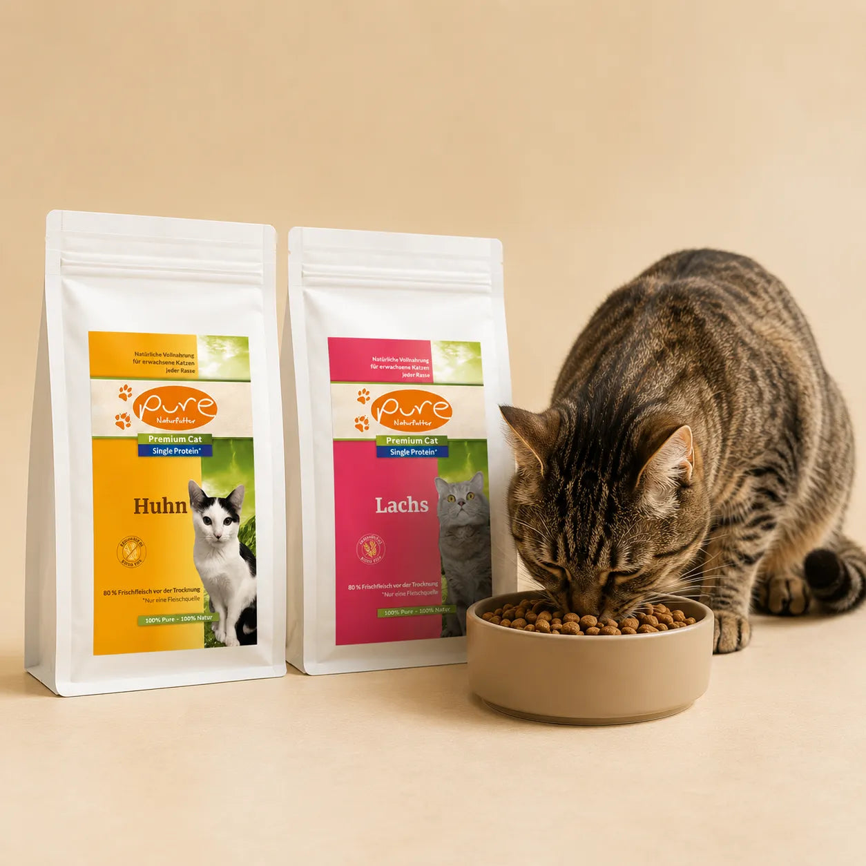 Katze mit Trockenfutter von PURE Naturfutter und Napf mit Kroketten