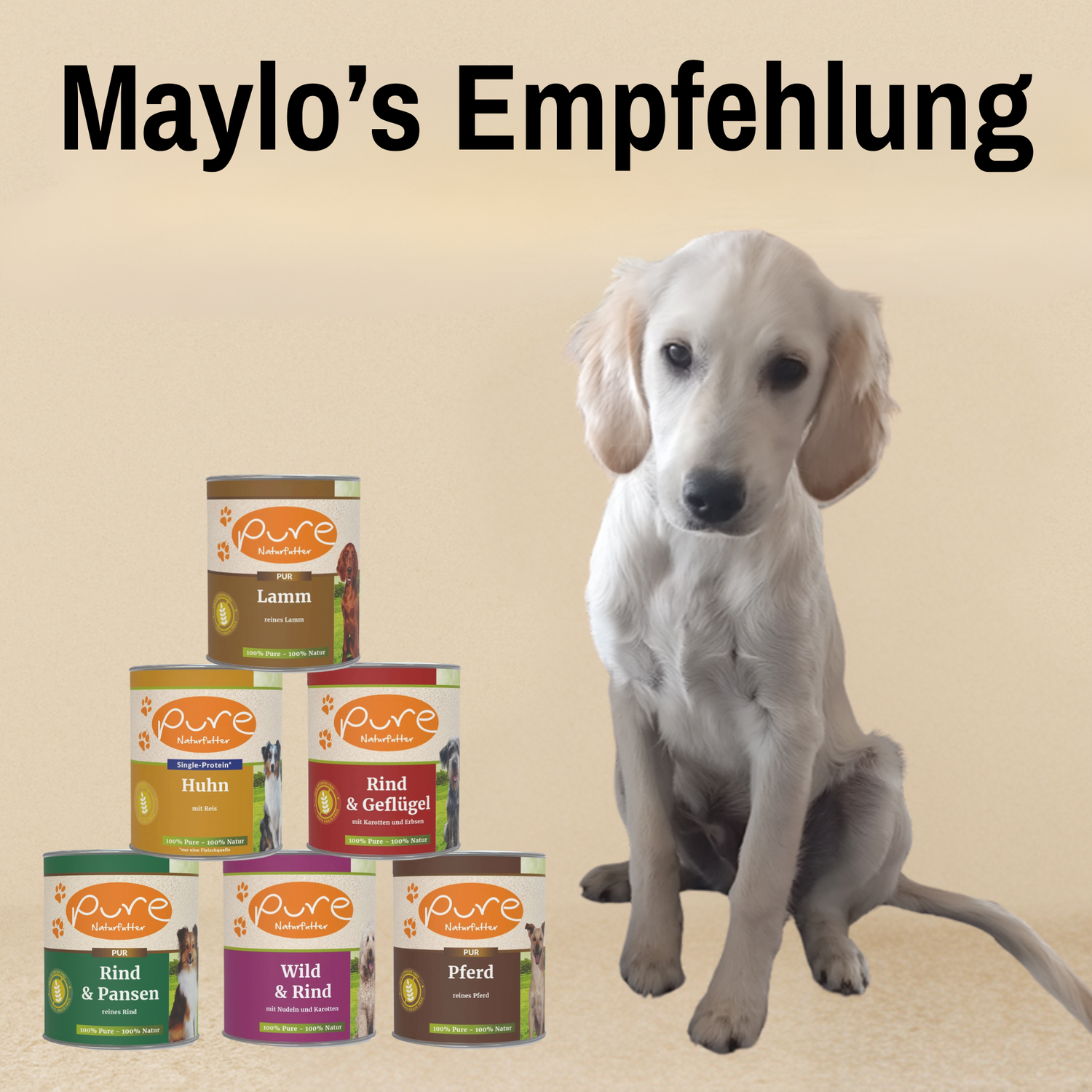 Natürliches Hund Nassfutter aus hochwertigen Zutaten für gesunde Hunde