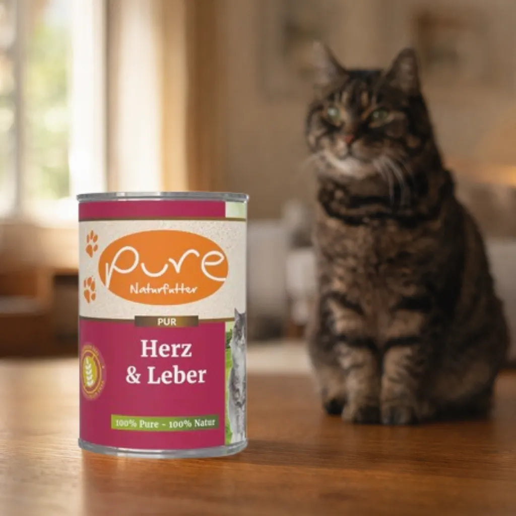 Pure Naturfutter Katze Nassfutter Herz und Leber, hochwertiges Katzenfutter ohne Zusatzstoffe, Katze im Hintergrund