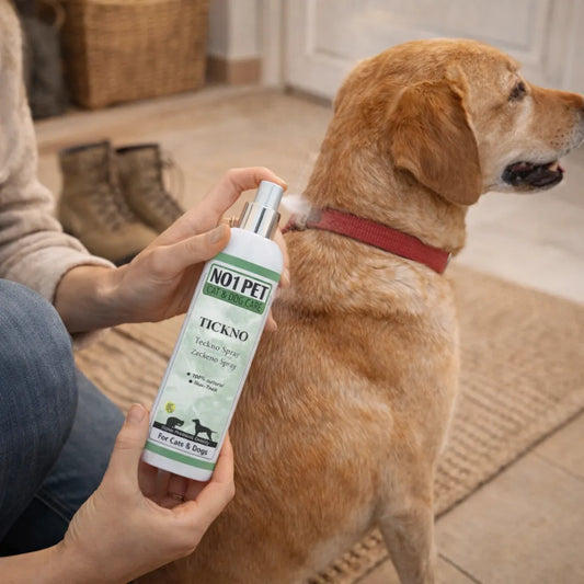 Zeckenspray für Hunde anwenden, natürlicher Zeckenschutz Hund vor dem Spaziergang