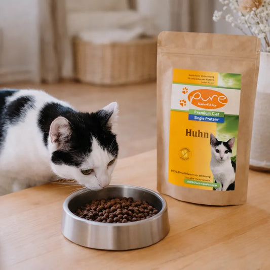 katzenfutter-probierpaket-huhn-katze-frisst