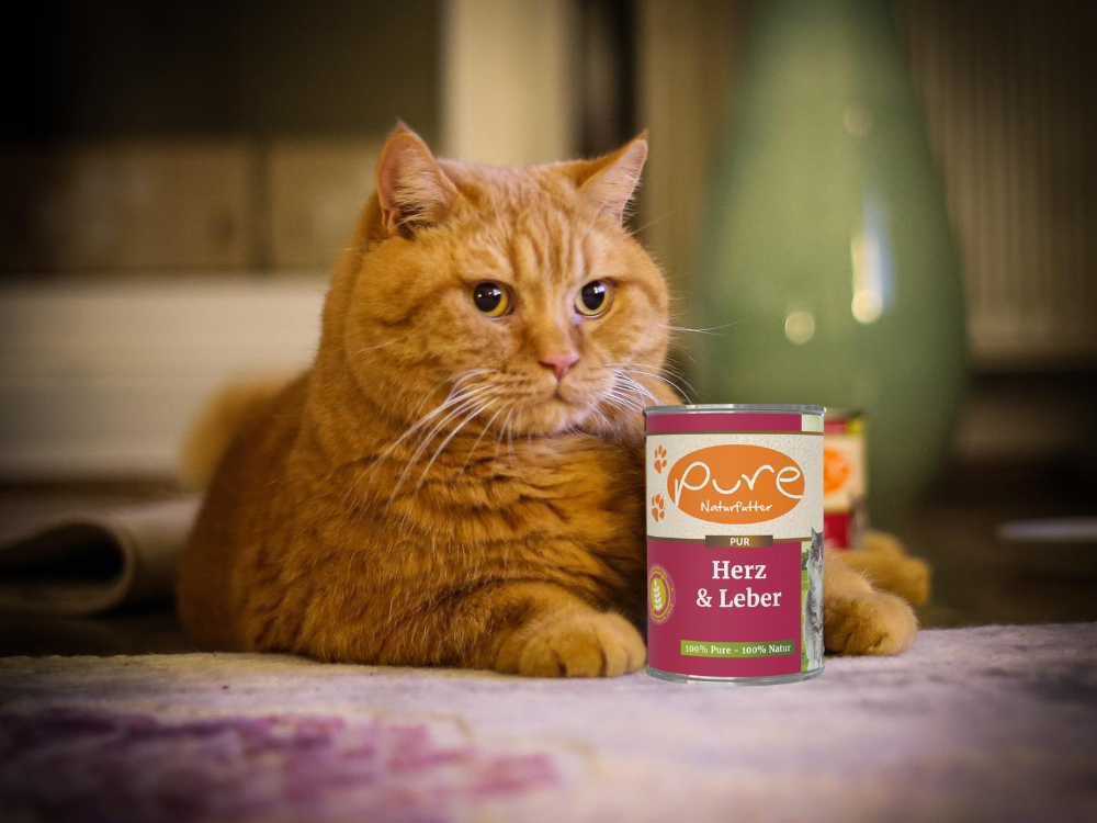 Schlemmermenüs für Katzen – nur beste Qualität für deine Samtpfote, für ein genussvolles und gesundes Mahlzeit-Erlebnis.