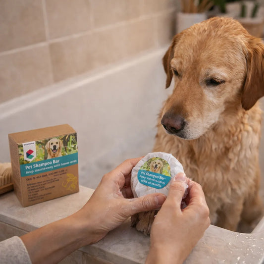 Hund baden mit festem Shampoo, natürliche Hundepflege mit Shampoo Bar im Badezimmer