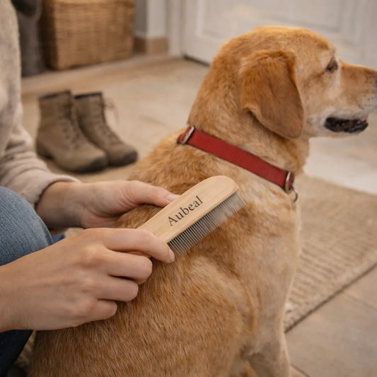 Hund bürsten mit Kamm, Fellpflege beim Hund zur Entfernung von Unterwolle und losen Haaren