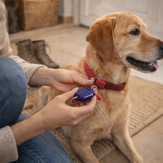 Hundehalsband mit Tracker befestigen, GPS Tracker für Hunde zur Sicherheit beim Spaziergang