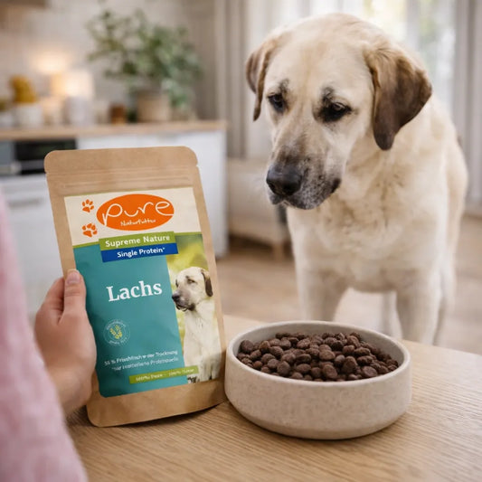 Hundefutter Lachs getreidefrei Single Protein PURE Naturfutter Hund vor Napf mit Trockenfutter