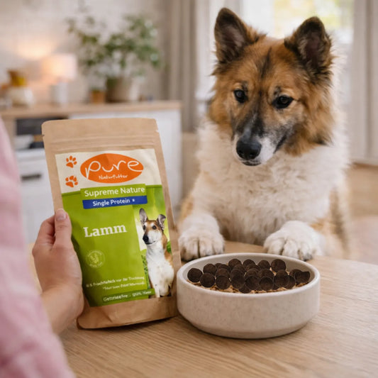 Hundefutter Lamm getreidefrei Single Protein PURE Naturfutter Hund frisst Trockenfutter im Napf