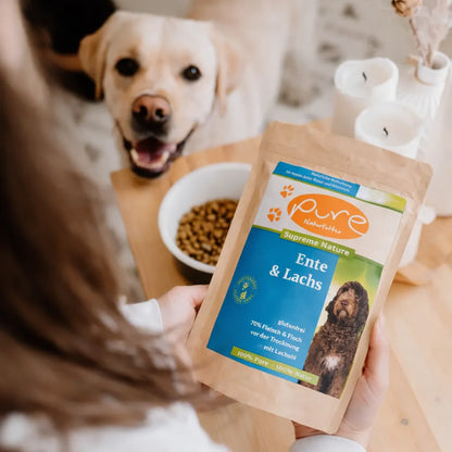 Hund wartet auf Futter während eine Person Trockenfutter Ente & Lachs von PURE in der Küche hält