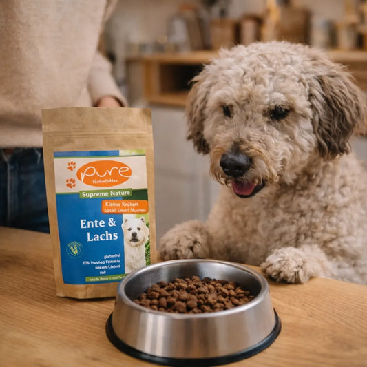 Hund vor Napf mit Trockenfutter und Probierpackung Ente & Lachs von PURE in der Küche