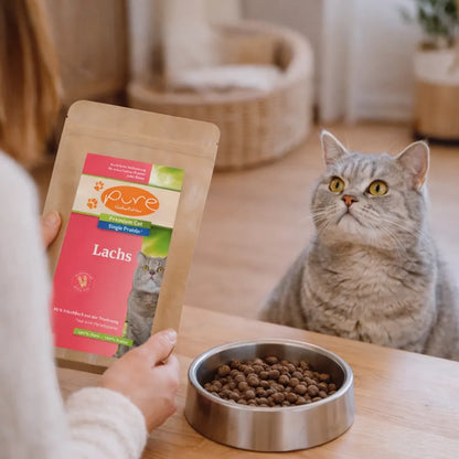 katzenfutter-probierpaket-lachs-katze-fuetterung