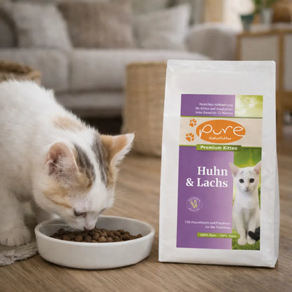 Kittenfutter Trockenfutter Huhn und Lachs von Pure Naturfutter neben fressendem Kätzchen