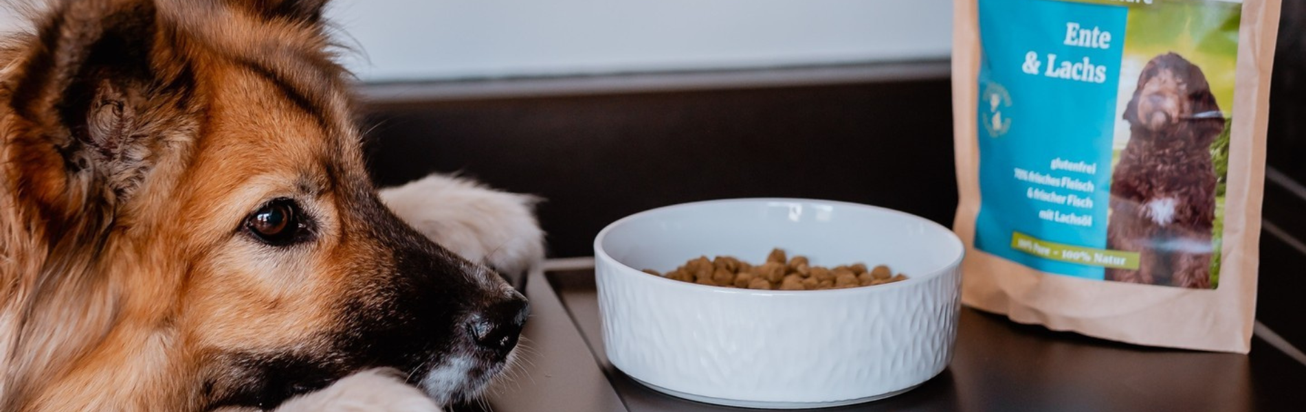Premium Trockenfutter für den Hund – ohne künstliche Zusätze, mit viel Fleisch und natürlichen Zutaten, perfekt für eine ausgewogene und gesunde Ernährung.