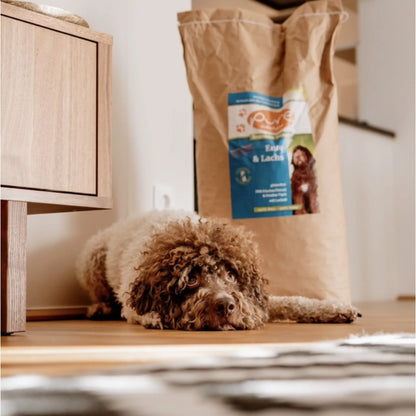 Hund liegt am Boden neben einem grossen Sack PURE Ente & Lachs – natürliches Trockenfutter für Hunde